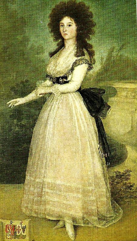 Francisco de Goya dona tadea arias de enriquez Spain oil painting art